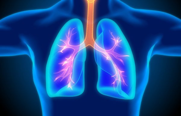 Illustration of human lungs with bronchial tubes and glowing pathways.